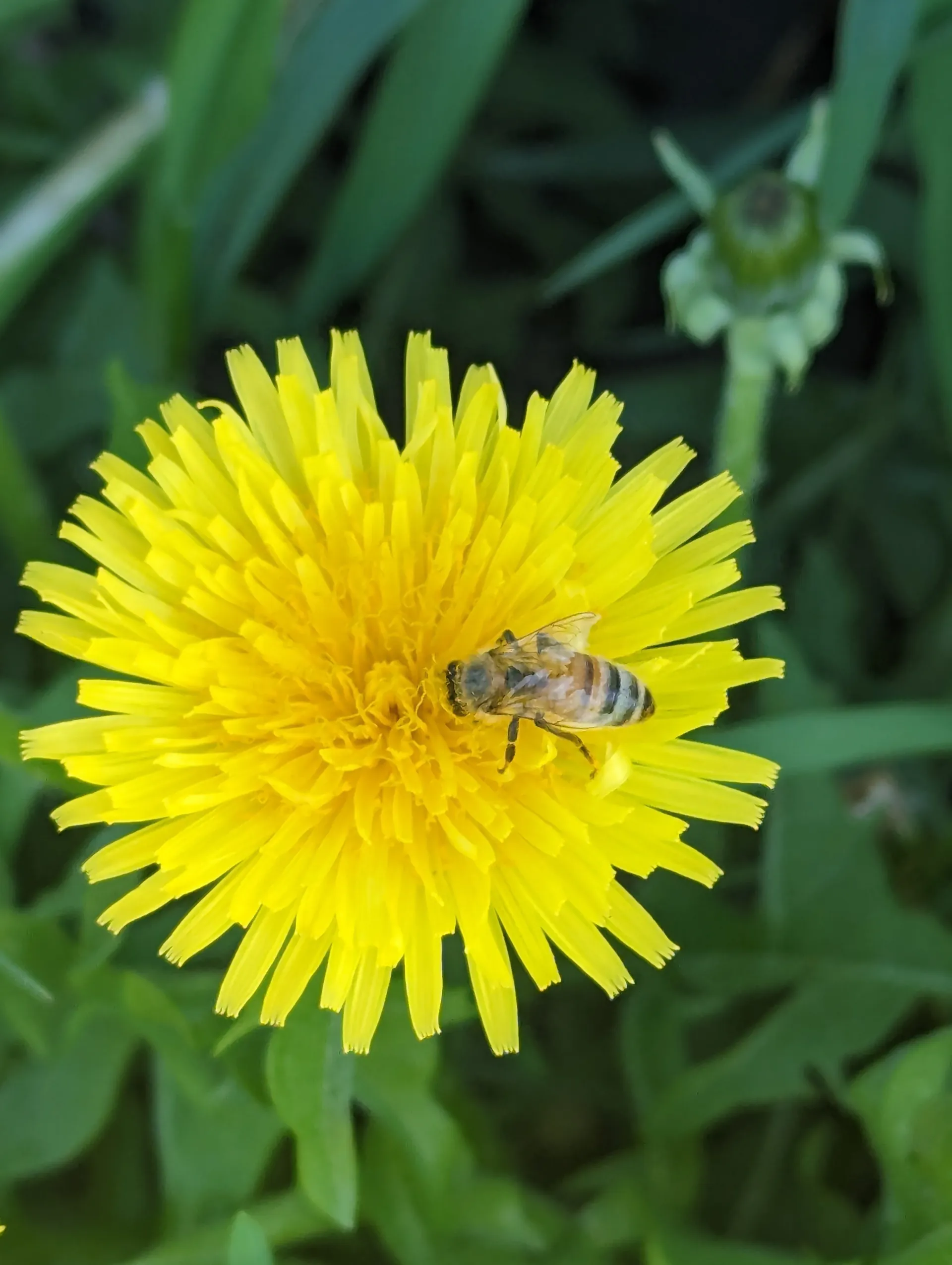 Laurieville Farms Farmstead